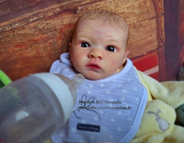 Jasmim bebe-reborn-creation.fr  (3)